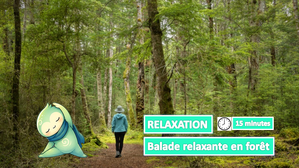 La Forêt / Connexion Nature