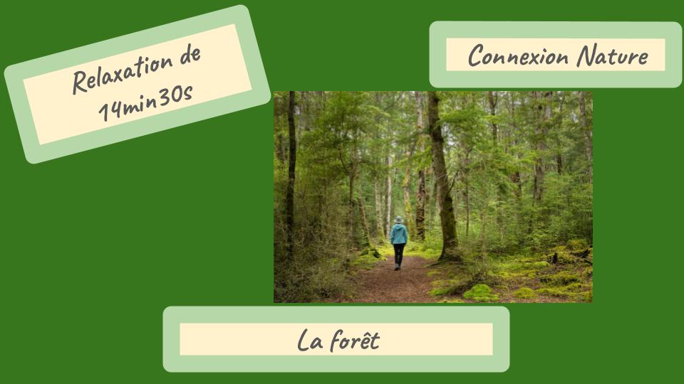 La Forêt / Connexion Nature